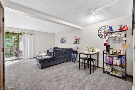1133 Townsview Place Wooster OH 44691