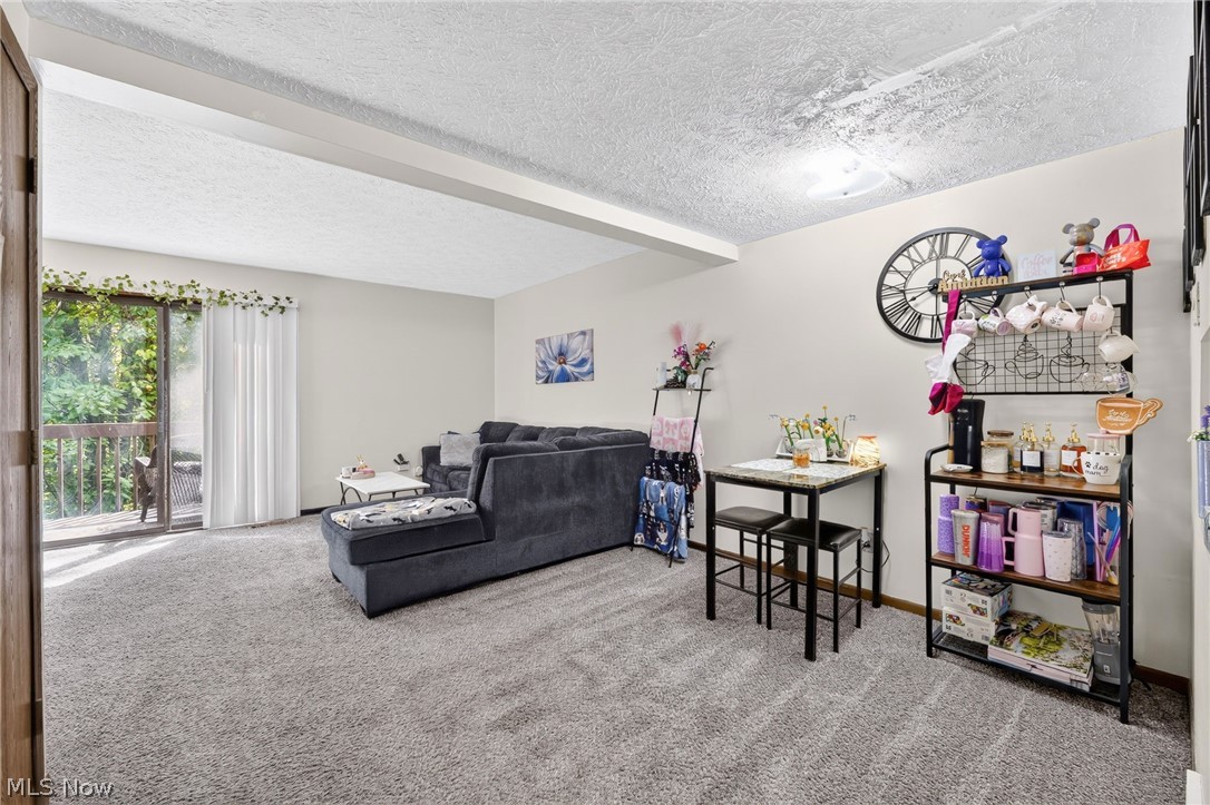 1133 Townsview Place Wooster OH 44691