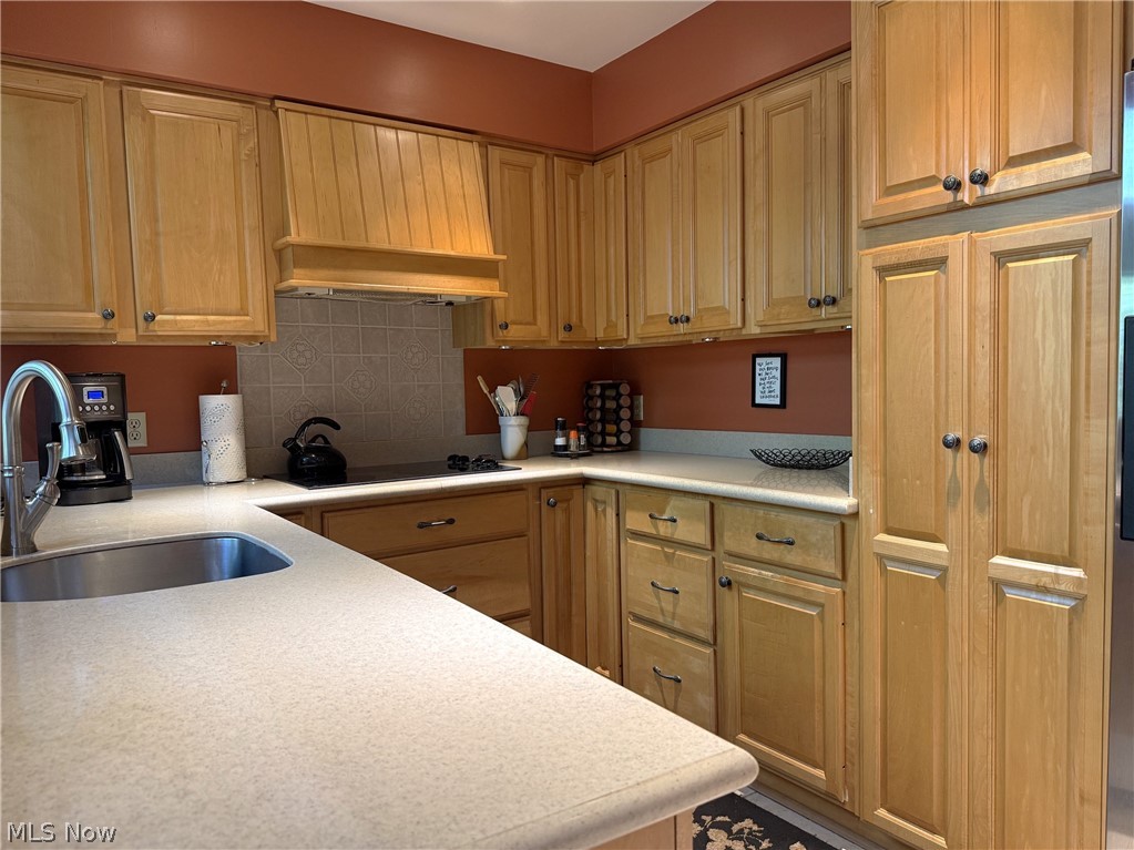 438-73 Cedar Ridge Aurora OH 44202