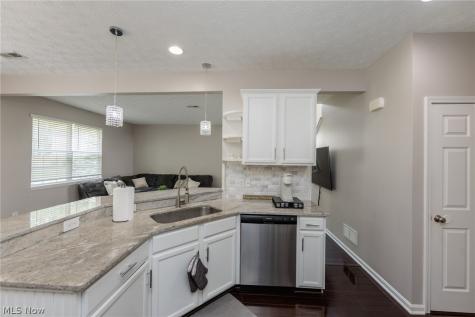 29049 Pembrooke Boulevard Olmsted Twp OH 44138