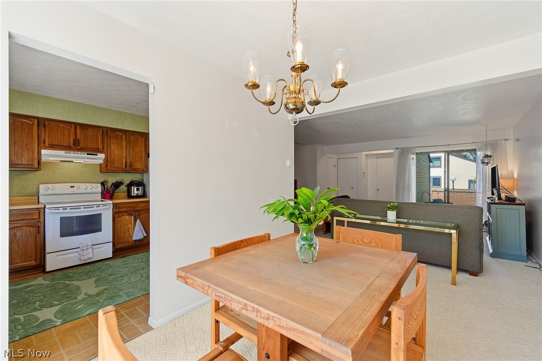 4442 Habersham Lane S Richmond Heights OH 44143