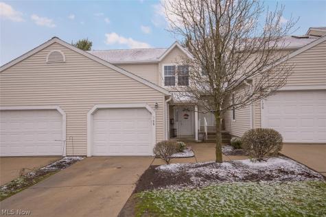 168 Steeple Chase Run Northfield OH 44067