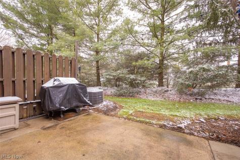 168 Steeple Chase Run Northfield OH 44067