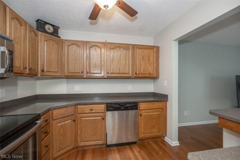168 Steeple Chase Run Northfield OH 44067