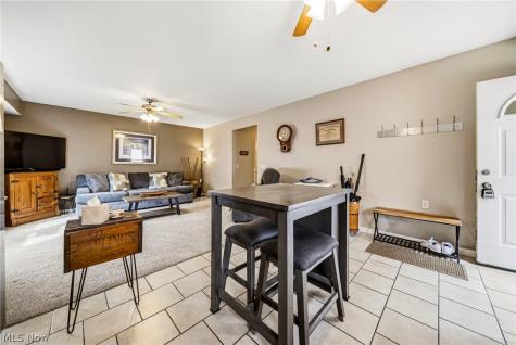 11541 Riverview Court Parma Heights OH 44130