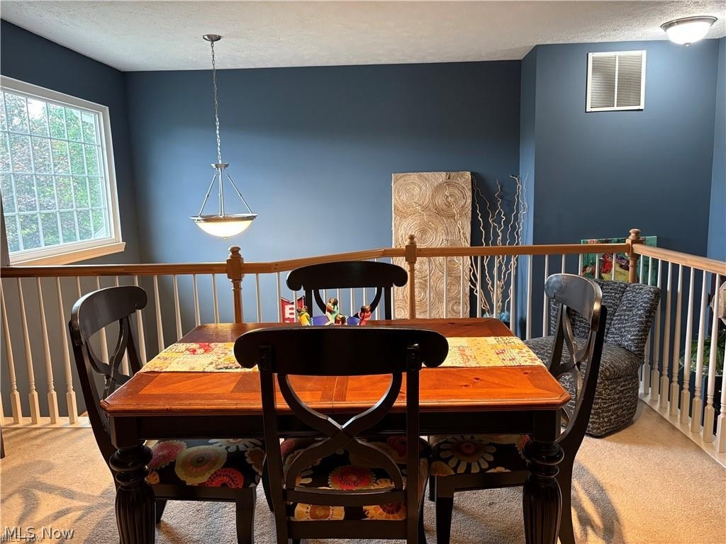 8825 Roberts Court Olmsted Falls OH 44138