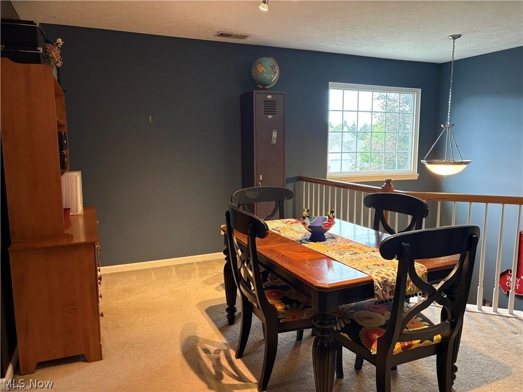 8825 Roberts Court Olmsted Falls OH 44138