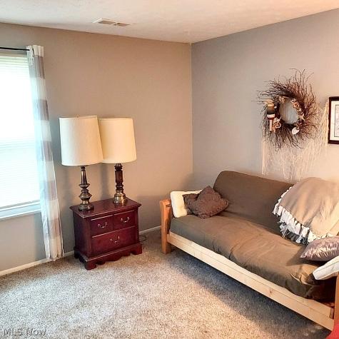 8882 Holly Lane Olmsted Falls OH 44138