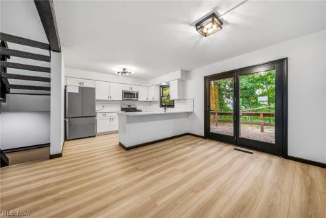 7029 Woodthrush Drive Painesville OH 44077