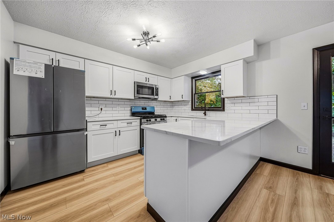 7029 Woodthrush Drive Painesville OH 44077