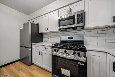 7029 Woodthrush Drive Painesville OH 44077