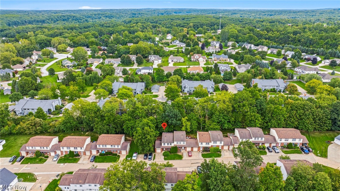 7029 Woodthrush Drive Painesville OH 44077