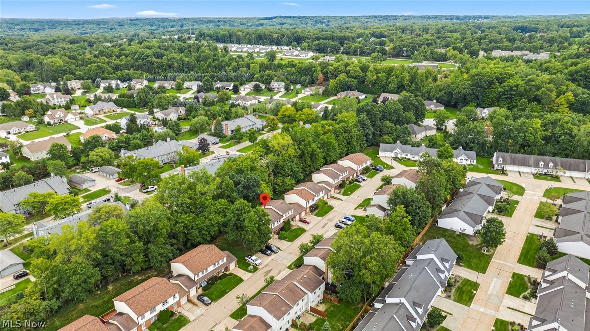 7029 Woodthrush Drive Painesville OH 44077