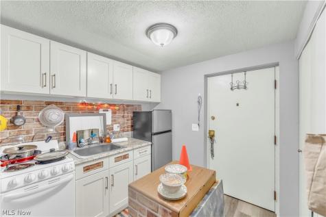 115 S Rocky River Drive Berea OH 44017