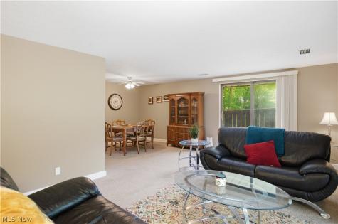 6895 Carriage Hill Drive Brecksville OH 44141