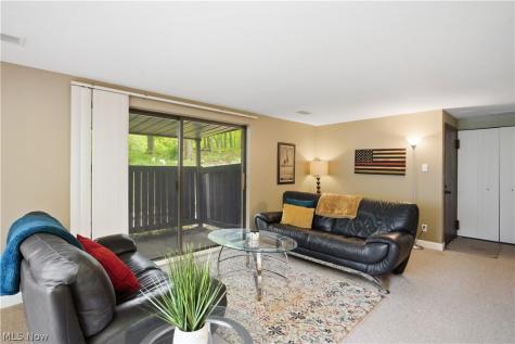 6895 Carriage Hill Drive Brecksville OH 44141
