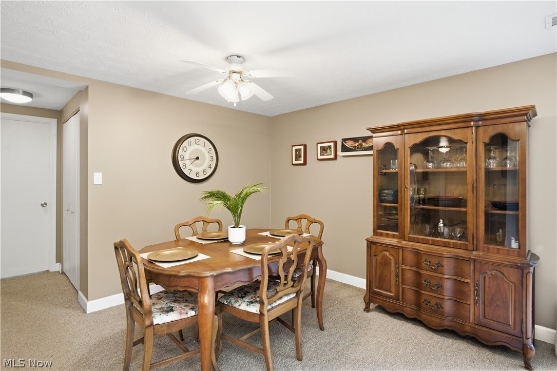 6895 Carriage Hill Drive Brecksville OH 44141