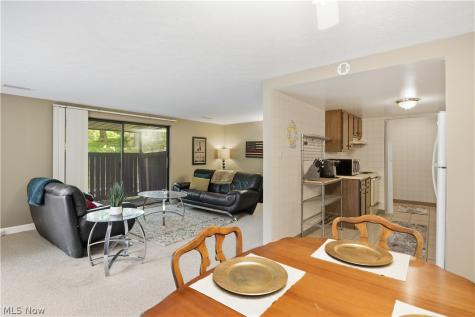 6895 Carriage Hill Drive Brecksville OH 44141