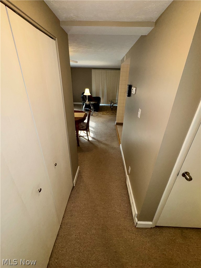 6895 Carriage Hill Drive Brecksville OH 44141