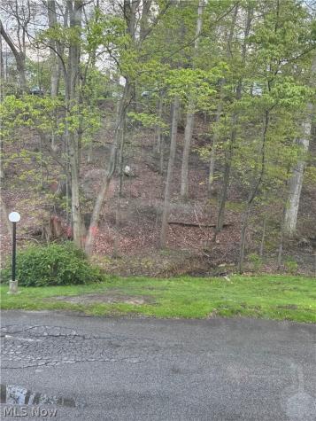 6895 Carriage Hill Drive Brecksville OH 44141