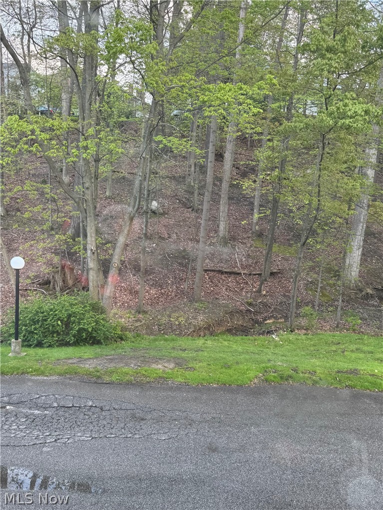 6895 Carriage Hill Drive Brecksville OH 44141