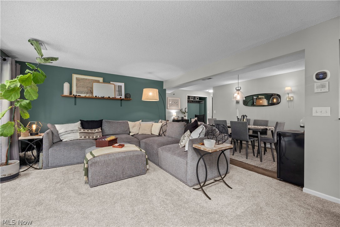 6231 Hidden Creek Drive Lorain OH 44053