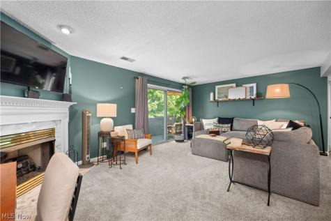 6231 Hidden Creek Drive Lorain OH 44053