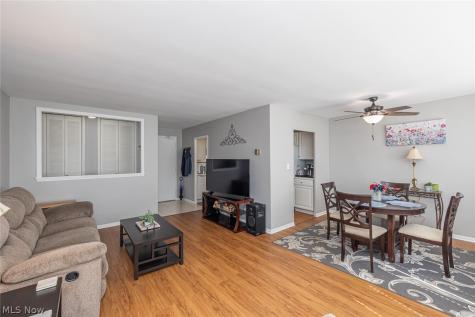 12520 Edgewater Drive Lakewood OH 44107