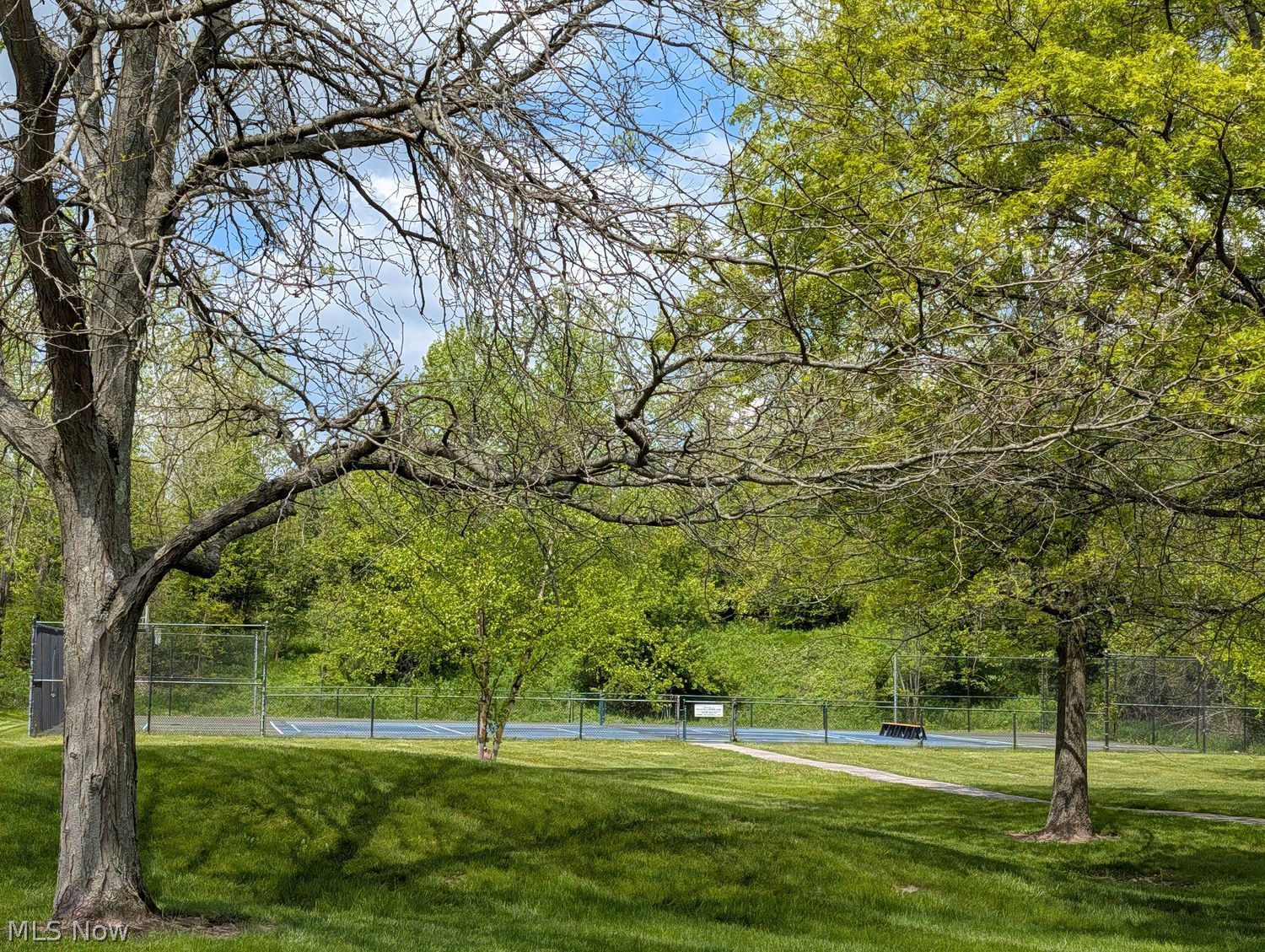 721 Sagewood Lane Chagrin Falls OH 44023