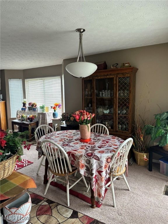 365 Village Pointe Drive Akron OH 44313