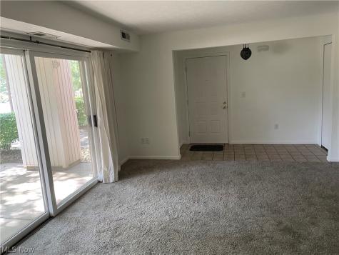 7087 Village Drive Mentor OH 44060