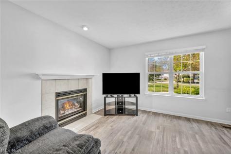 23233 Grist Mill Court Olmsted Falls OH 44138