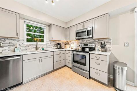 7515 Andrea Drive Mentor OH 44060