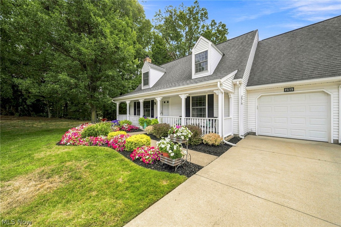 7515 Andrea Drive Mentor OH 44060