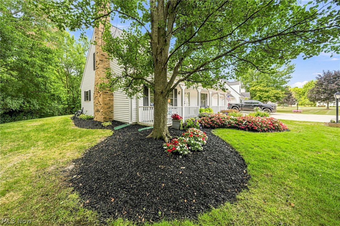 7515 Andrea Drive Mentor OH 44060