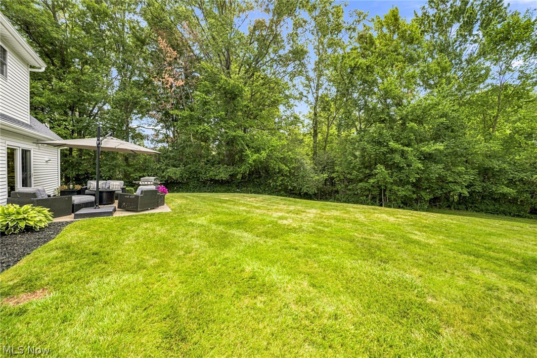 7515 Andrea Drive Mentor OH 44060