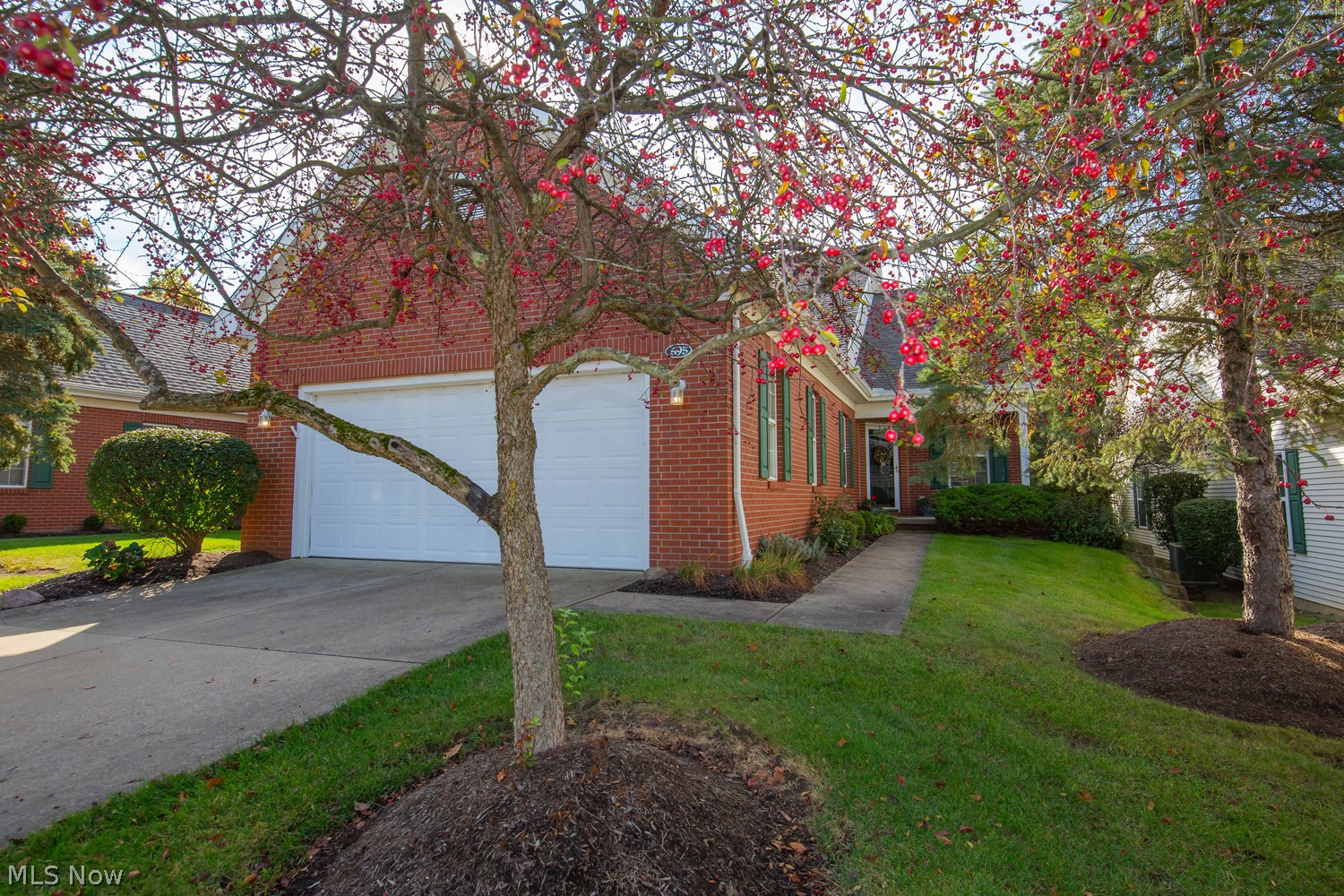 595 Daleview Drive Aurora OH 44202