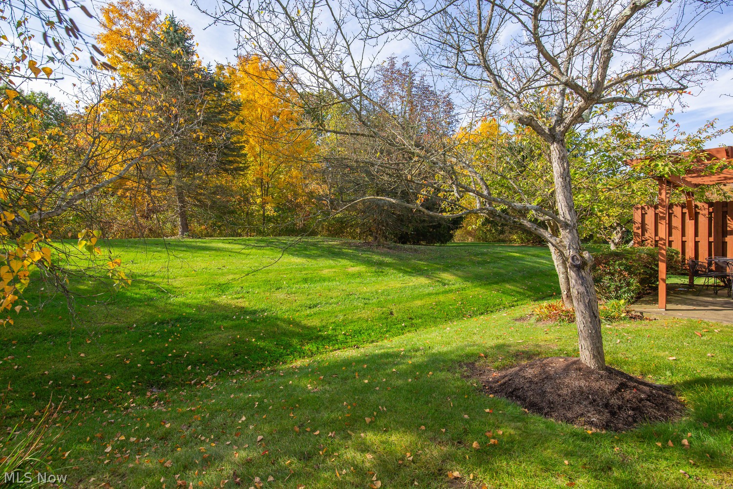 595 Daleview Drive Aurora OH 44202