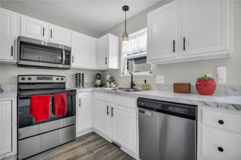 951 Columbia Court Painesville OH 44077