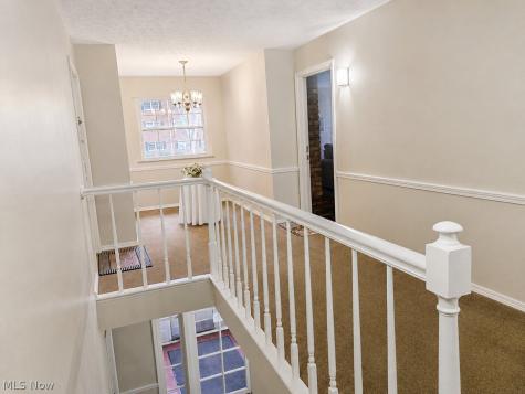 2876 Pease Drive Rocky River OH 44116