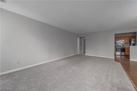 23061 Brick Mill Run Westlake OH 44145