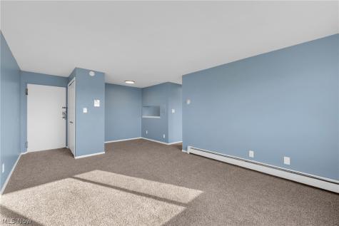 14567 Madison Avenue Lakewood OH 44107