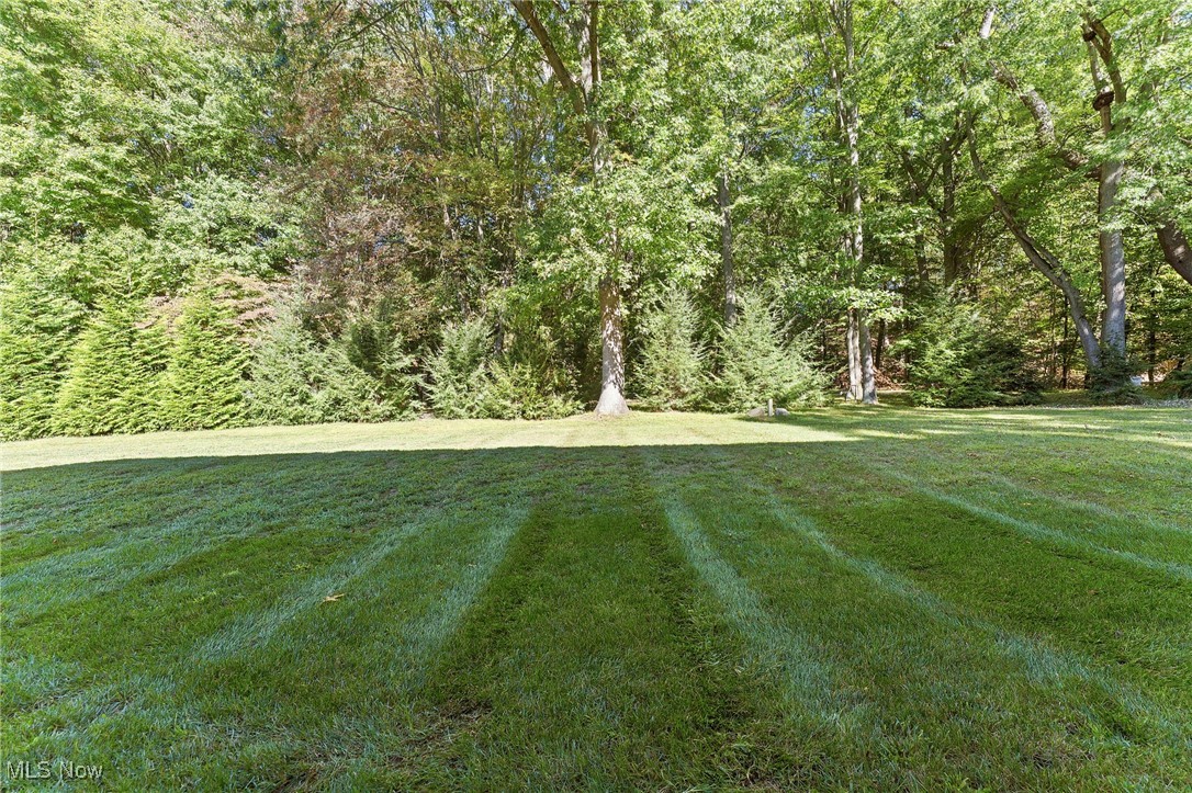 1113 Bean Lane Akron OH 44313