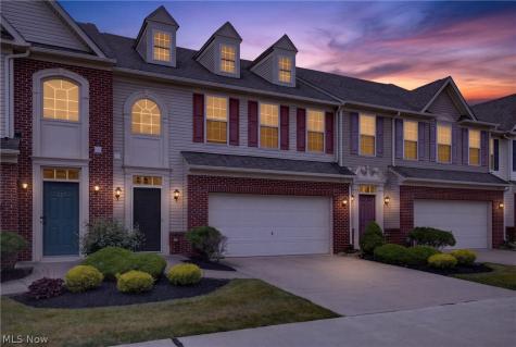 934 Tradewinds Cove Painesville OH 44077