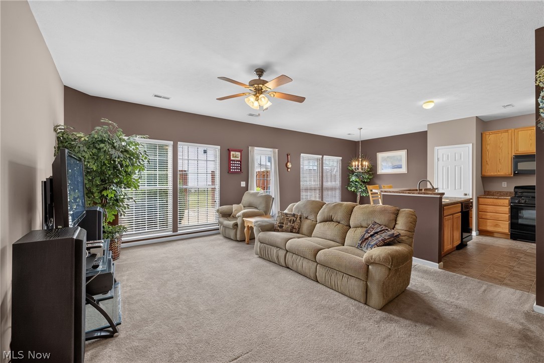 934 Tradewinds Cove Painesville OH 44077