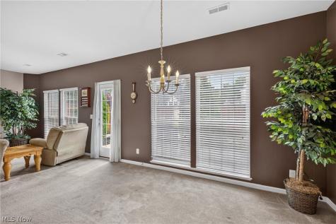 934 Tradewinds Cove Painesville OH 44077