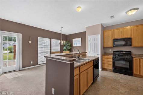 934 Tradewinds Cove Painesville OH 44077
