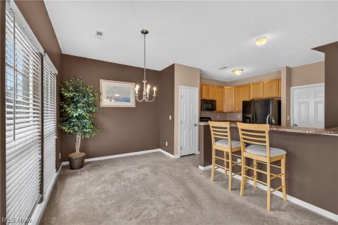 934 Tradewinds Cove Painesville OH 44077