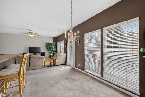 934 Tradewinds Cove Painesville OH 44077