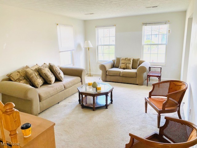 1992 Heron Glen Court Macedonia OH 44056